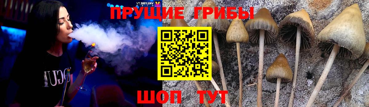 Галлюциногенные грибы Cubensis  Псилоцибиновые грибы GOLDEN TEACHER  Вход с VPN  Севастополь 